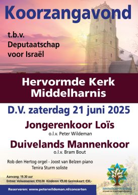Zomerconcert Middelharnis
